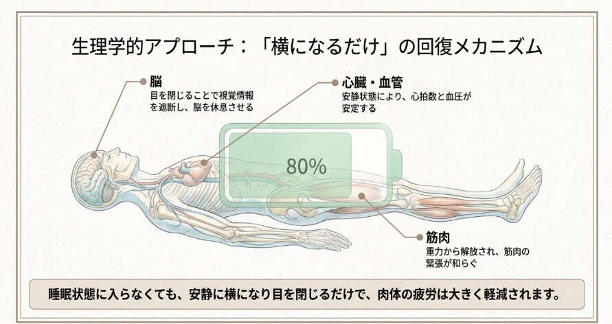 「横になる」だけで体力の8割は回復する？