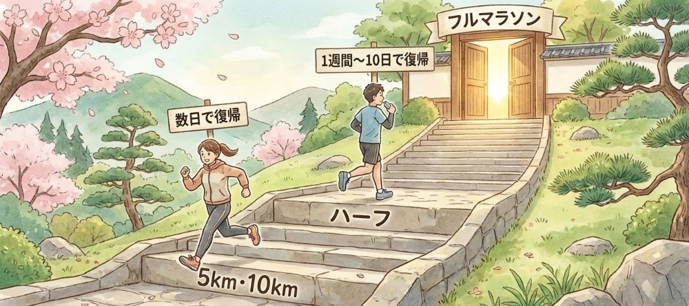 ハーフや10kmを活用したステップアップ調整法