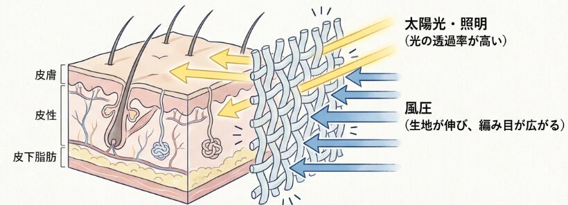 薄手素材のシングレットで肌やポッチが透ける原因