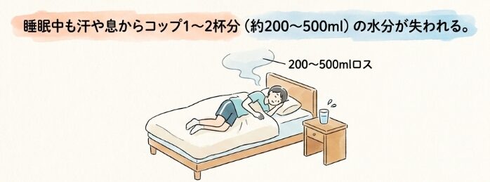 就寝前の水分補給で睡眠中の脱水を防ぐ方法