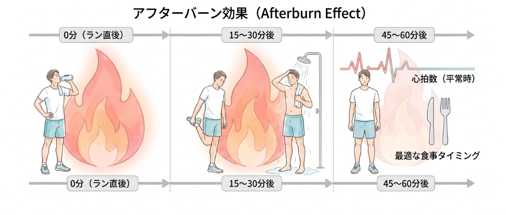 脂肪燃焼効果を高めるおすすめの食事タイミング