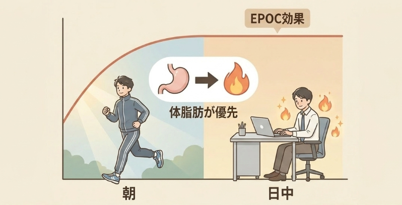 基礎代謝が上がり痩せやすい体質になる変化