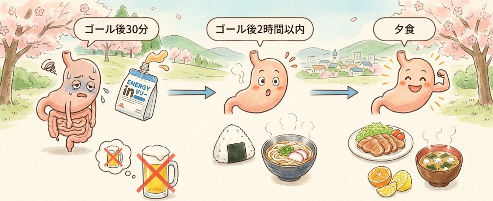 内臓疲労と筋破壊を早く回復させる栄養補給