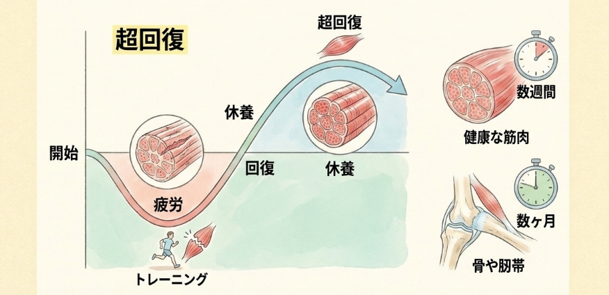 安全に走行距離を伸ばす計画とルール