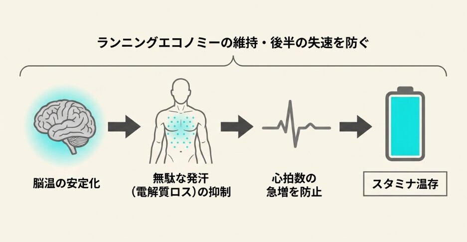 頭部の温度上昇を抑えて体力の消耗を減らす理由