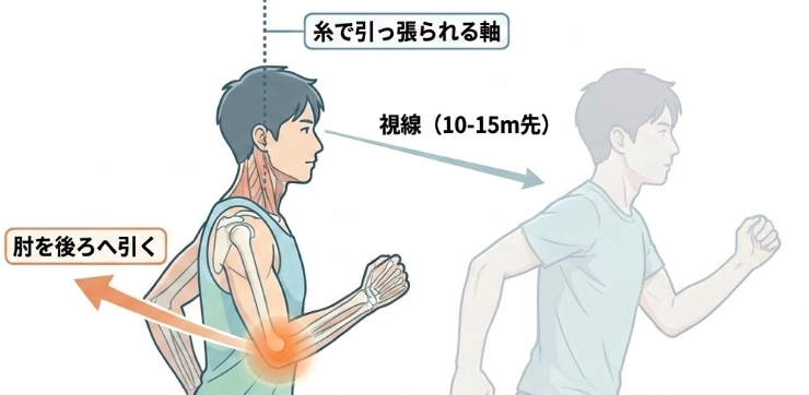 疲れにくいランニングフォーム