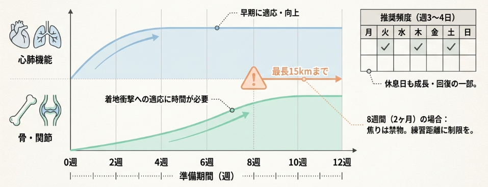 ハーフマラソン初心者が知るべき準備期間