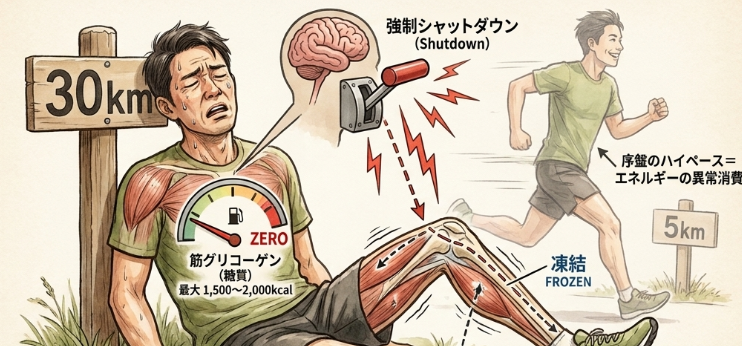 30キロの壁を越えるペース戦略